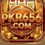 pkr656 game logo