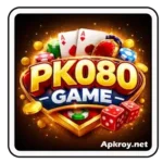 PK080 Game