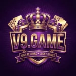 V9 Game