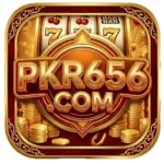 PKR656 Game App
